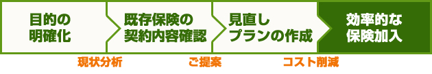 目的の明確化→既存保険の契約内容確認→見直しプランの作成→効率的な保険加入